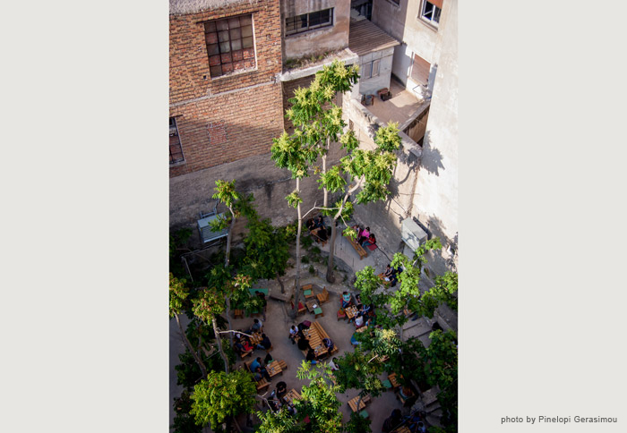 Six-Dogs-Garden-by-Pinelopi-Gerasimou-01-A4-landscape